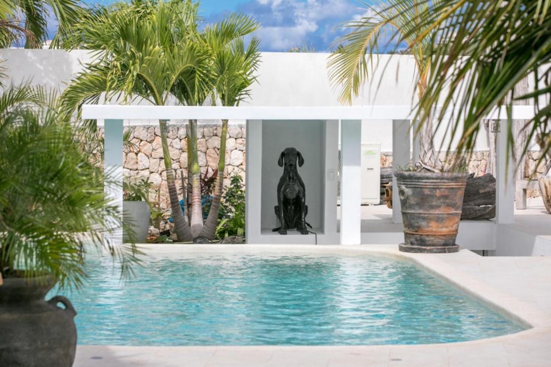 Villa Blue Lagoon Suite Apartment Lowlands Eksteriør billede